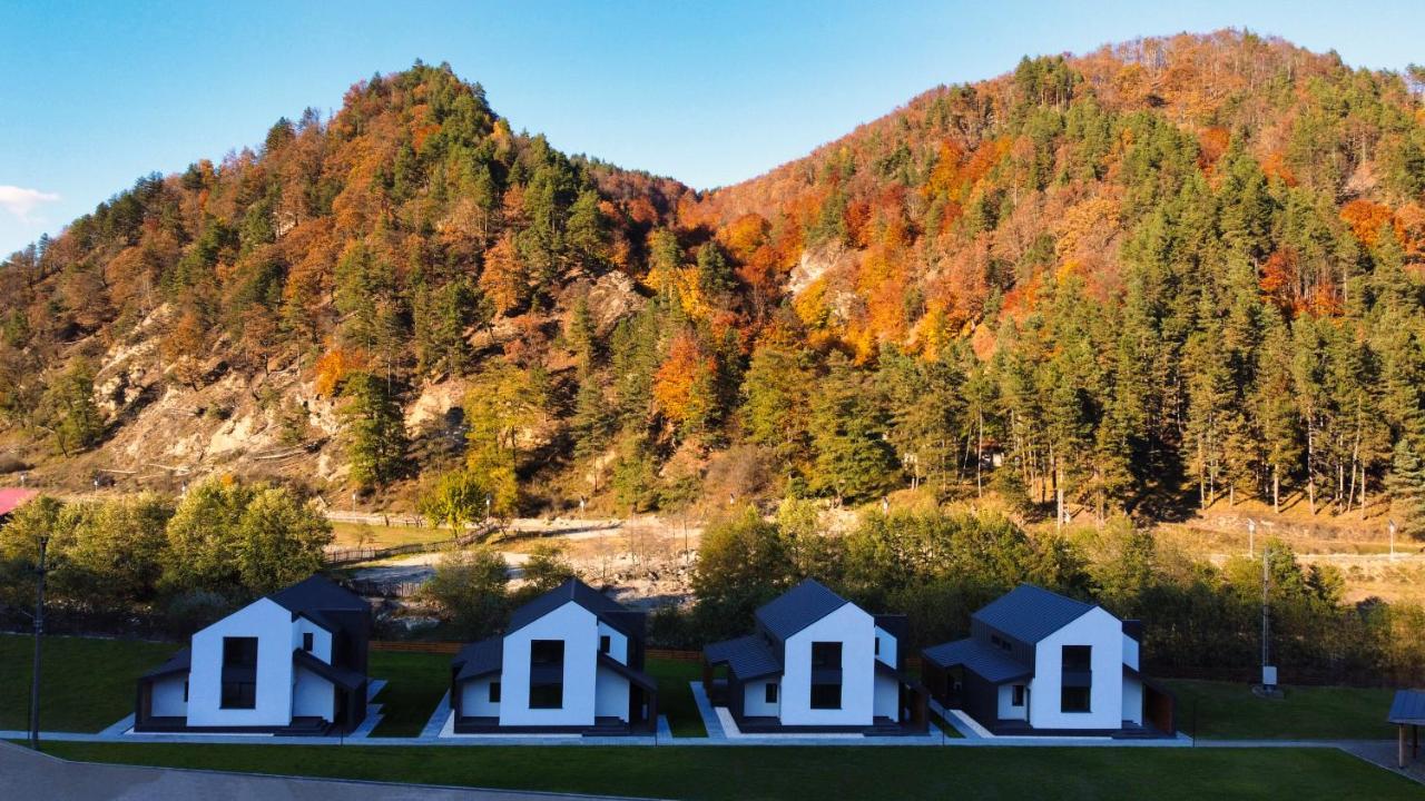 Complex Lunlo Village Brezoi Extérieur photo
